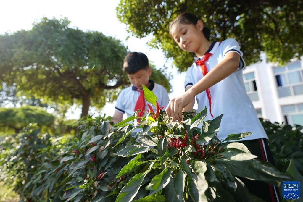 188金宝搏备用网址